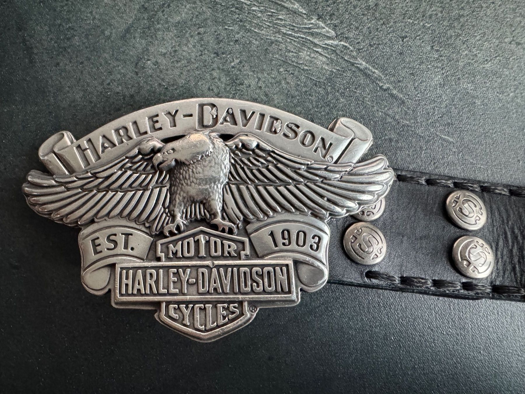 Harley-Davidson Gürtel: Harley-Davidson Ledergürtel, Top Zustand – Gebraucht aus Frutigen von sibe56