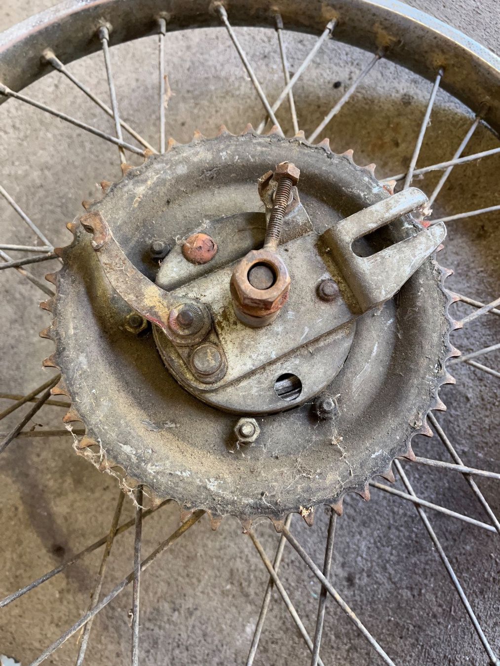 Puch Parti ricambio per ciclomotori: Puch Maxi N Speichen Hinterrad – Difettoso da Fahrni b. Thun venduto da berger_tuning34 1