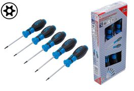 Schraubendreher-Satz,Torx mit Bohrung, T6-T10, 5-tlg.