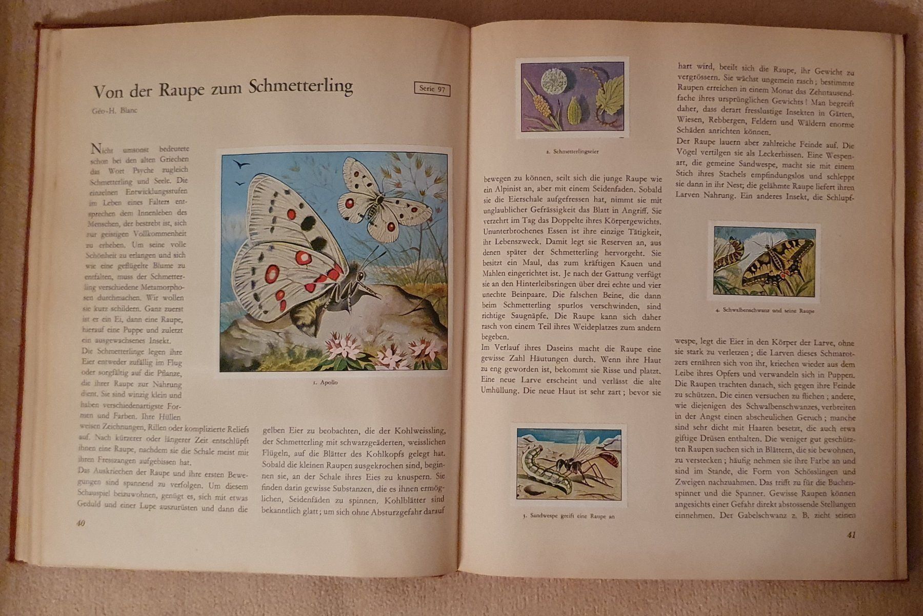 Libri: 9 alte Kinderbücher – Usato da Kreuzlingen venduto da Rschweiz1 9
