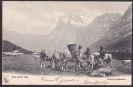 Bauernleben Landwirtschaft Auf hoher Alp Croquis Alpestre
