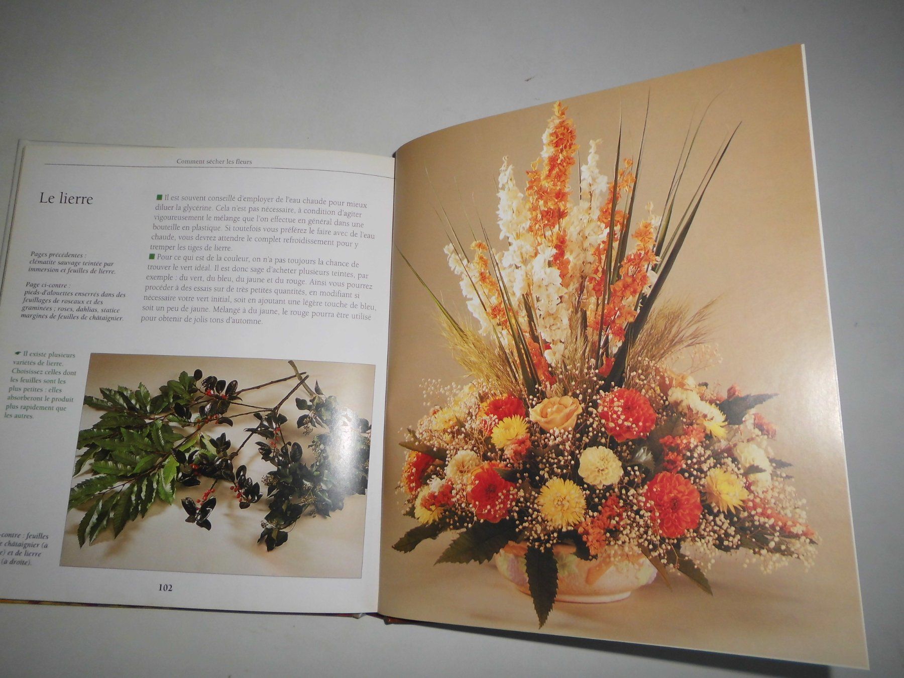 Libri: Comment sécher les fleurs et composer des bouquets – Usato da Marin-Epagnier venduto da Madja 2