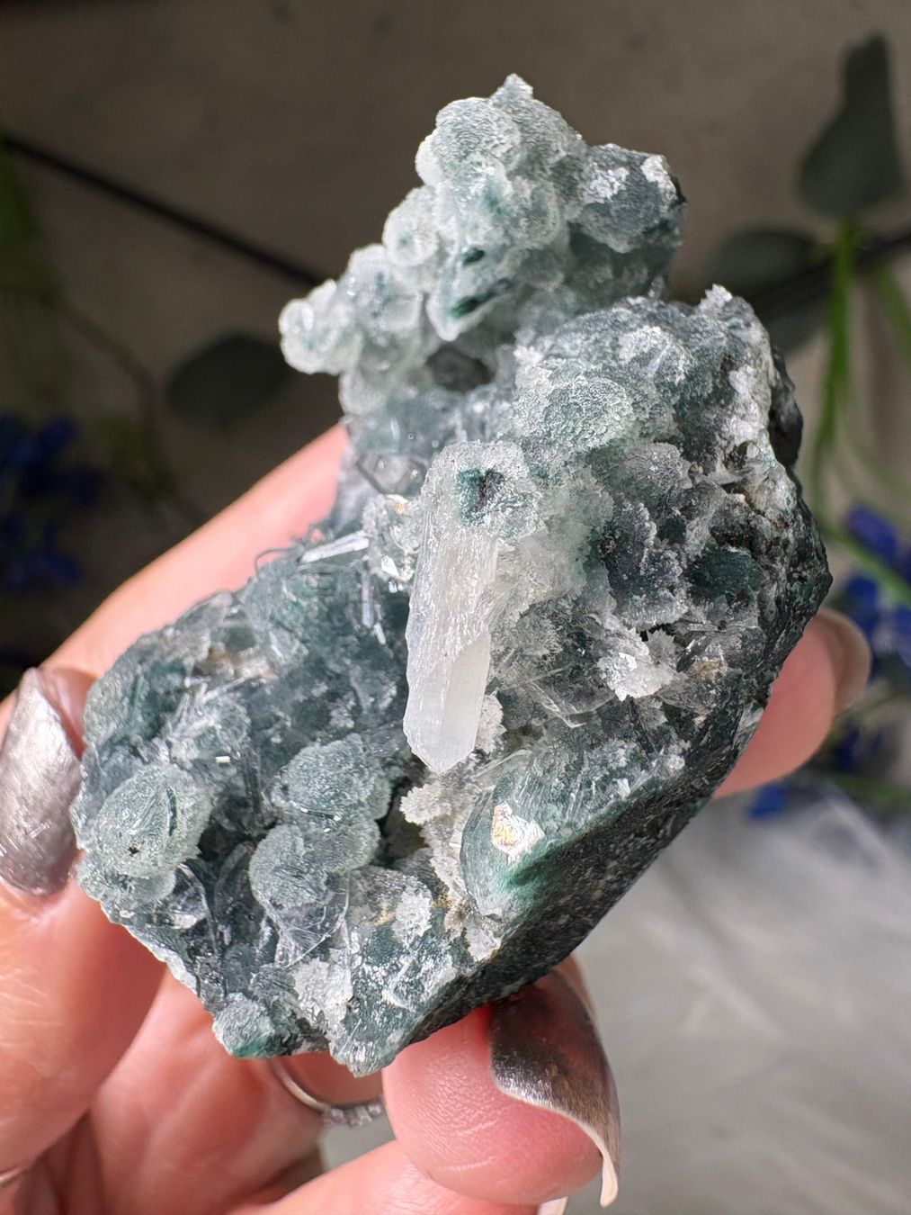 Minerali & Pietre curative: Chalcedon-Stalaktit mit Heulandit – Nuovo e nell'imballaggio originale da Neuheim venduto da m.hald 3