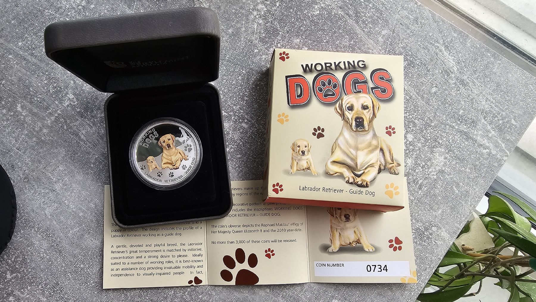 Tutti le monete: Working Dogs Labrador Guide Dog 1 oz Silver Proof Tuvalu – Usato da Petit-Lancy venduto da SilverCoinCoin 1