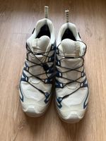 Salomon Schuh XA PRO 3D V9 GTX 45 1/3
