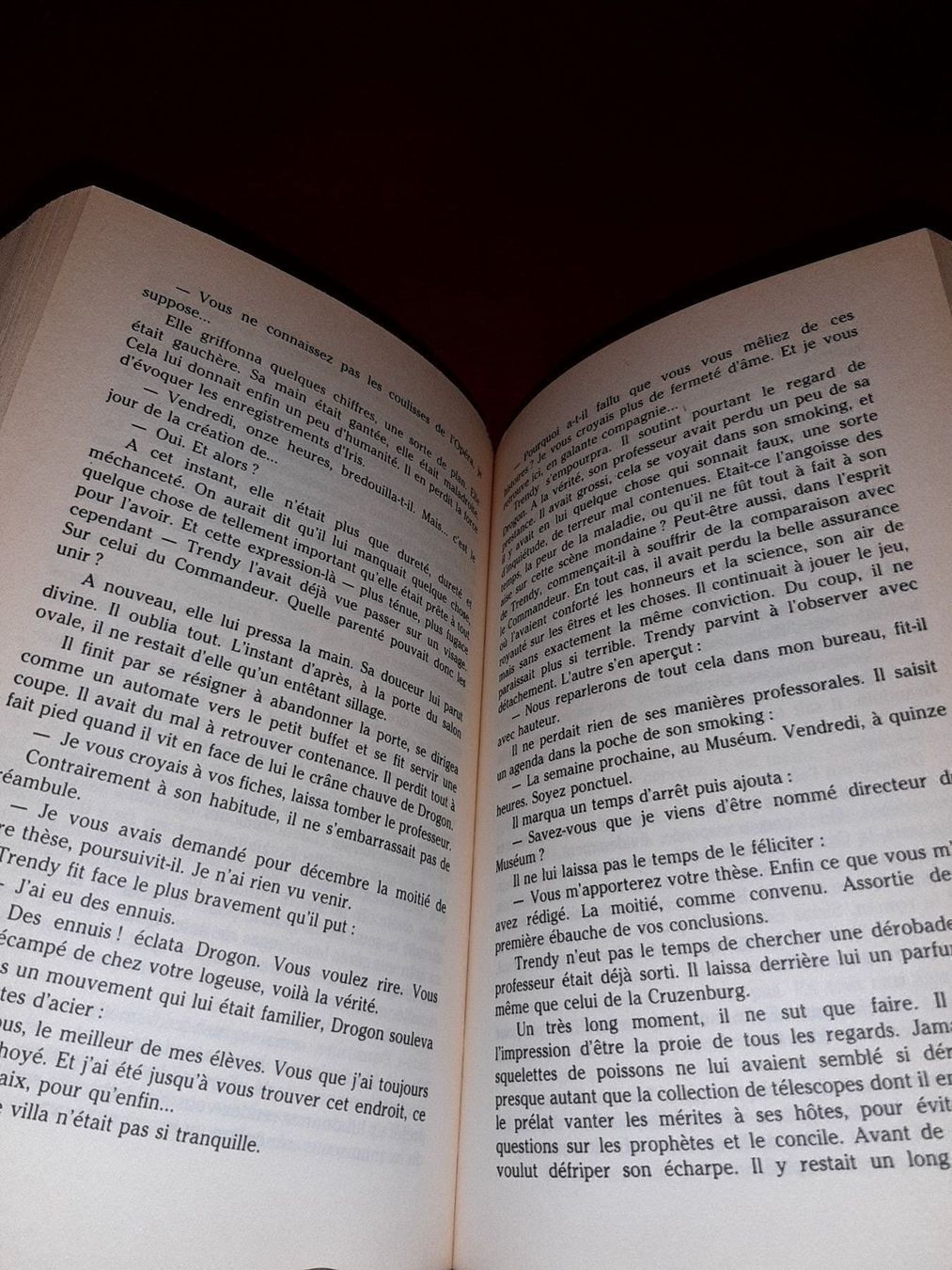 Libri: Desirs d'irene frain – Usato da Le locle venduto da juliensaran 3