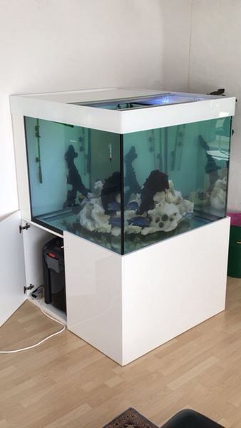 Acquari: 100x100x80 Hochglanz – Nuovo (secondo la descrizione) da Berikon venduto da fischundart 1