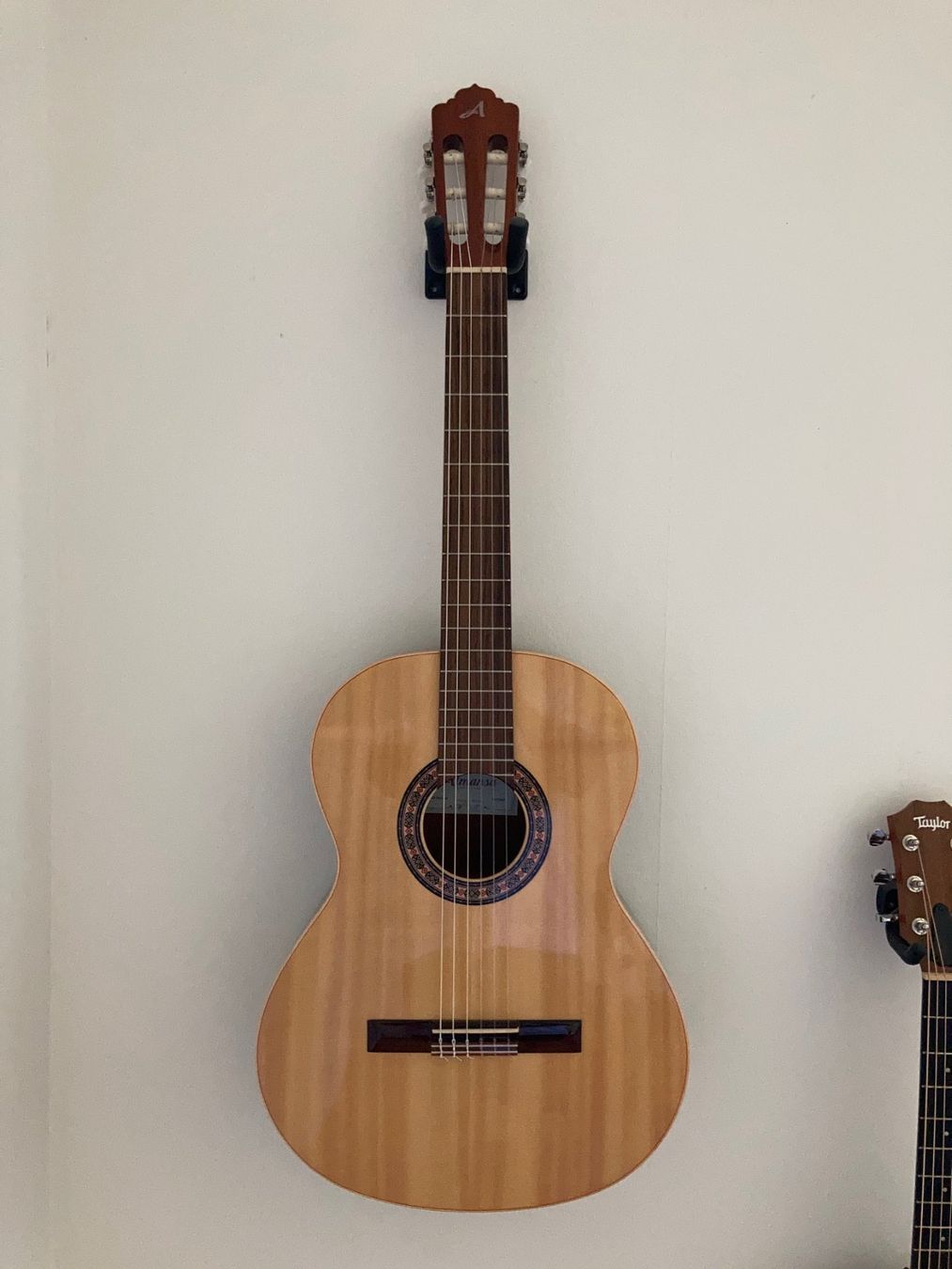 Strumenti musicali: Konzert-Gitarre Almansa 401-Spruce – Usato da Wallenwil venduto da 0343