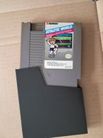 Athletic World NES US-Modul