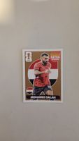 salah - panini