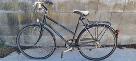 5 Damen Velos für Export
