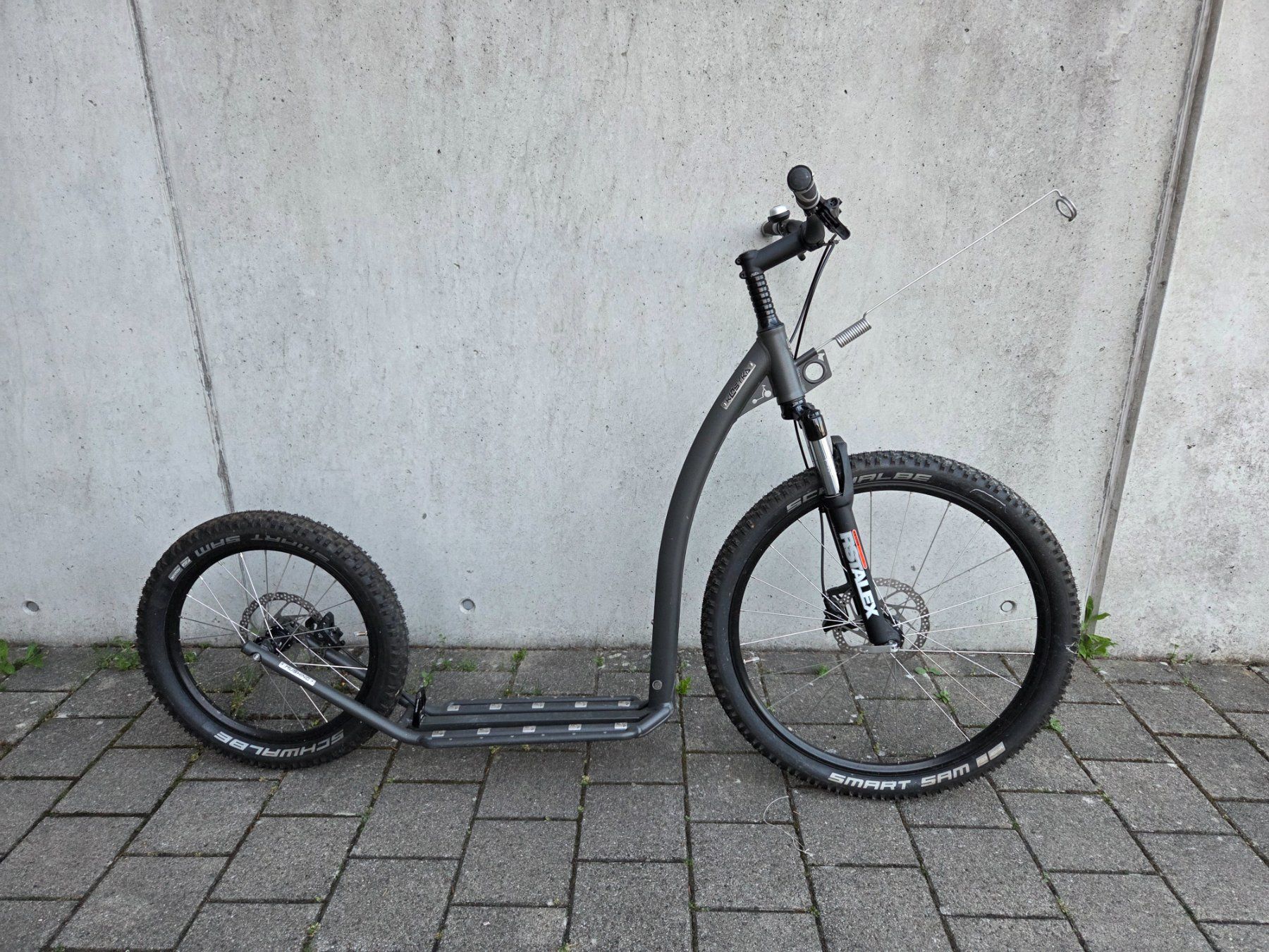 Kickboard: Kostka Dogscooter – Usato da Hüntwangen venduto da Sonne054 1
