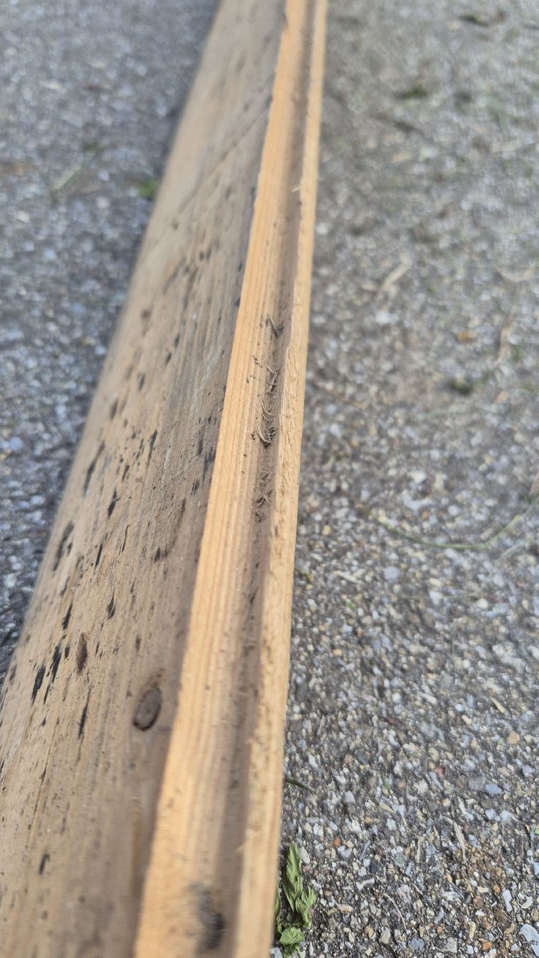 Articoli in legno: Bretter, Täfer, Holz – Usato da Wetzikon ZH venduto da Fagus 4