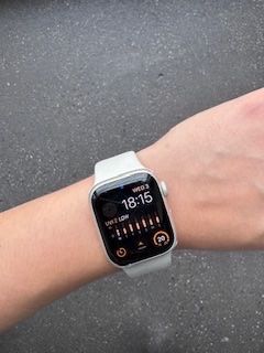 Apple Smartwatch: Apple Watch Series 7 + charger – Usato da Zürich venduto da ivn_pr75 3