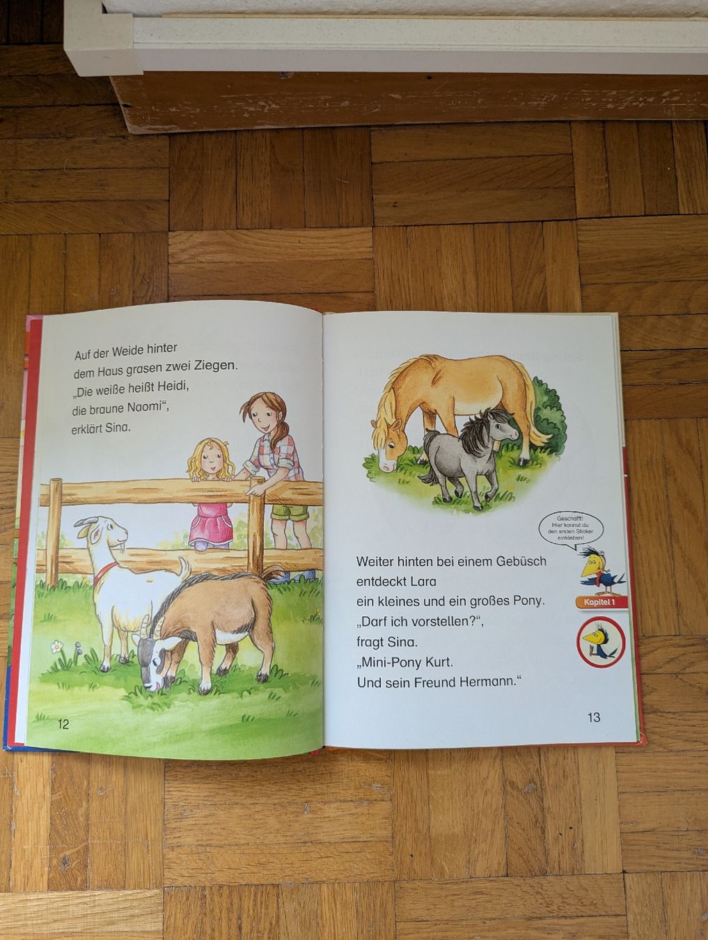 Bücher: Leserabe 1. Lesestufe  – Gebraucht aus Lengnau AG von sus_znf9 2