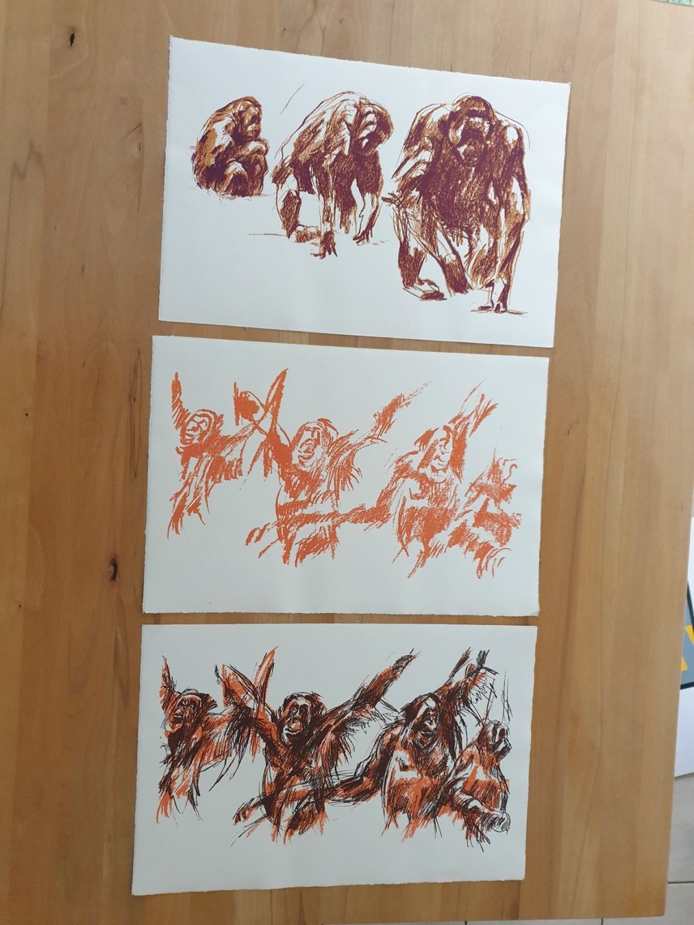 Foto & Immagini: 3 Drucke Affen-Studien Bildmass : 32x47,5 cm – Nuovo (secondo la descrizione) da kaiseraugst venduto da Yohe 1