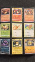 Pokemon Karten Sammlung - Top Zustand!