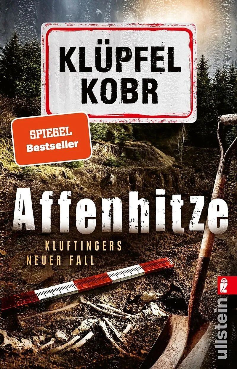 Libri: 10 Krimis/Thriller – Usato da bern venduto da jeannie2006 6