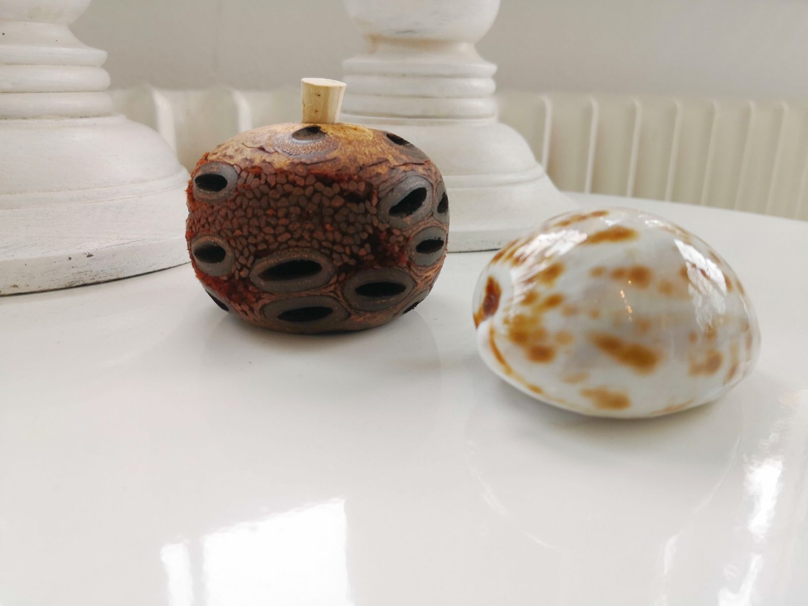 Tutte le decorazioni: 🤩BANKSIA ÄTHERISCHER ÖL DIFFUSER AUS AUSTRALIEN RAR – Nuovo (secondo la descrizione) da Olten venduto da Naja-Twins-Twins 6