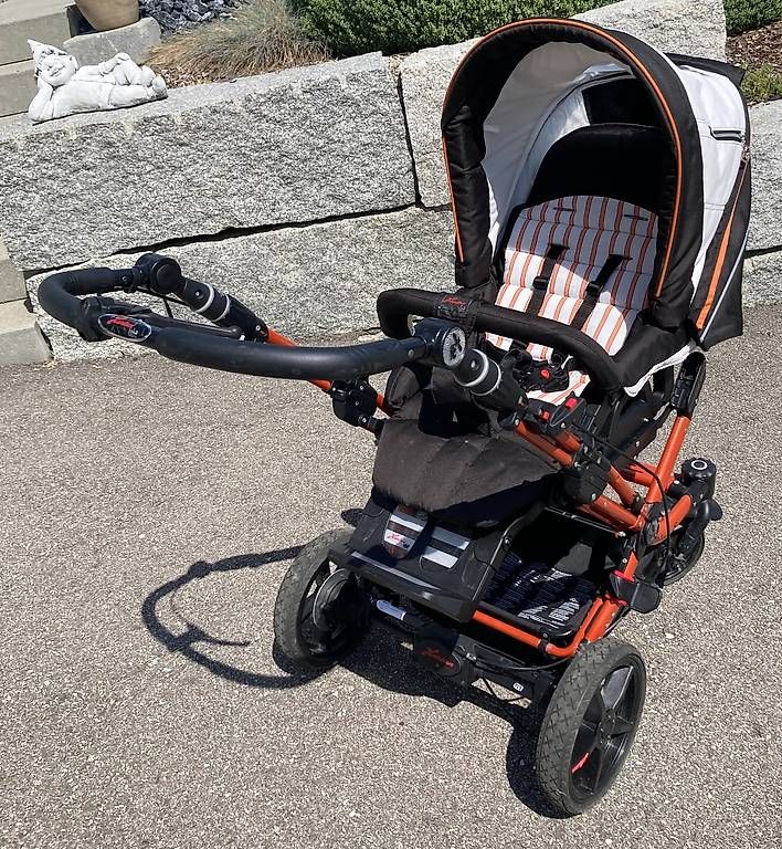 Hartan Carrozzine: Kinderwagen mit Hartschale & Buggyaufsatz – Usato da Holderbank venduto da Thal_4711 3