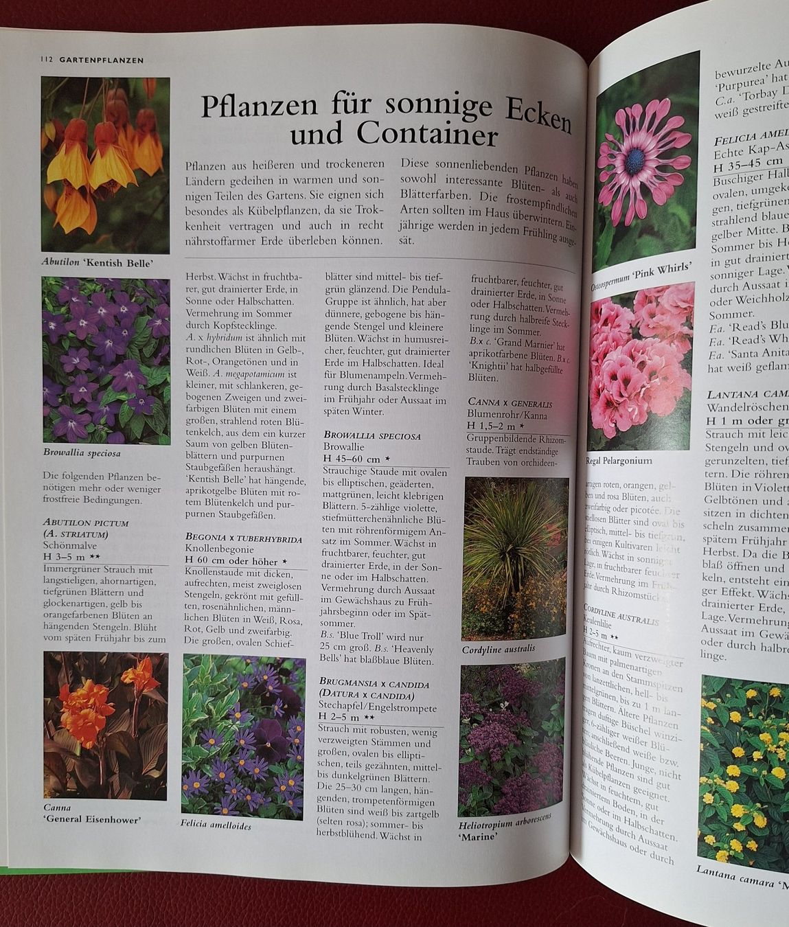 Libri: Buch Garten Handbuch 2000 – Usato da Oberriet SG venduto da Atir47 4