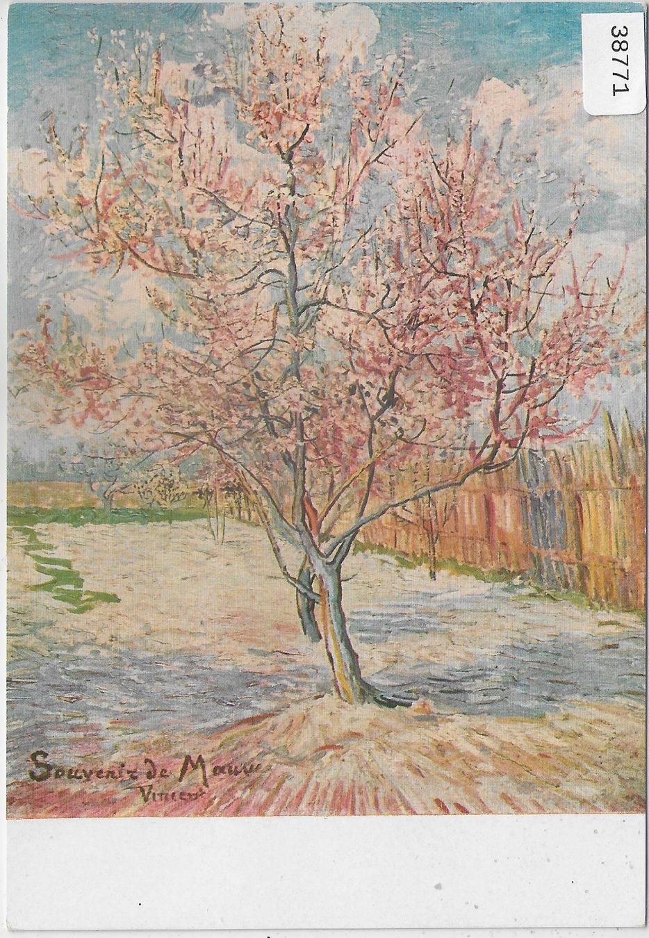 Ansichtskarten: Van Gogh - Der blühende Baum - L'Arbre fleuri – Gebraucht aus Ettingen von Kartenplanet
