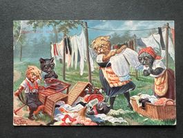 AK 1912 Witzkarte Katzen gebraucht (G3645)