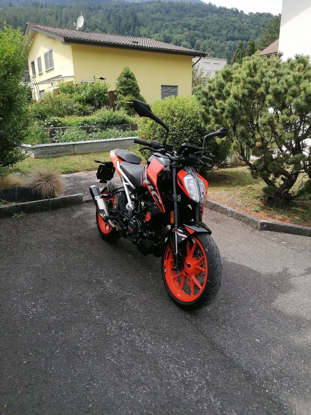 KTM Strasse: KTM Duke 125 – Gebraucht aus Azmoos von joh_5n7b