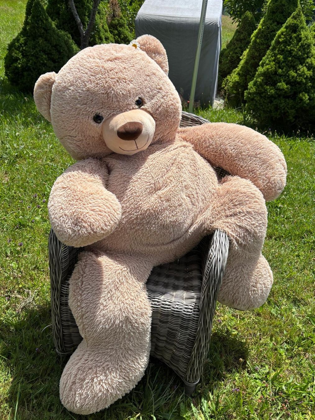 Jouets: XXL Teddybär – D'occasion à Bennau par Stierweid