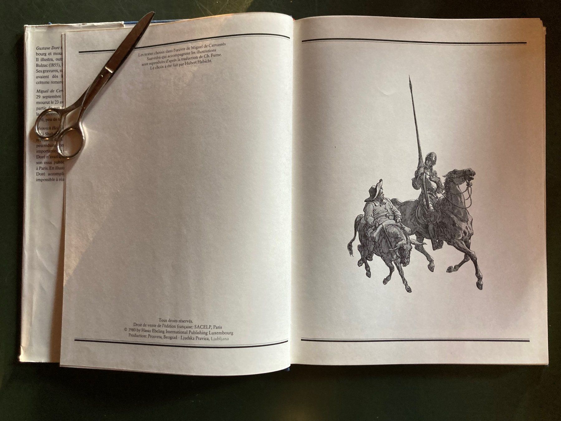 Libri: Don Quichotte - Gustave Doré, 120 illustrations – Usato da Romanel-sur-Lausanne venduto da seb_9c2t 3