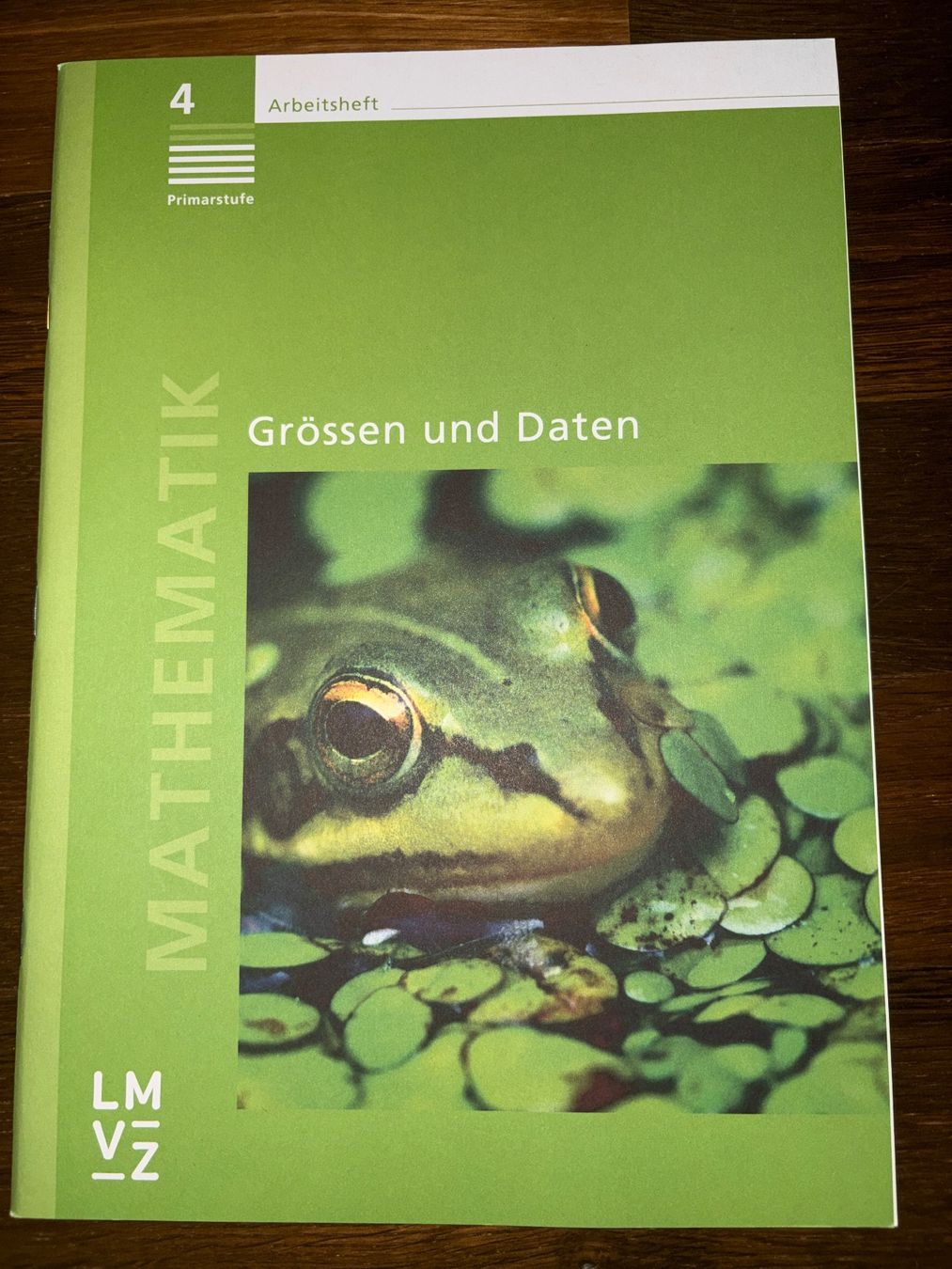 Bücher: Arbeitsheft Mathematik 4 Grössen und Daten Primarstufe – Neu (gemäss Beschreibung) aus Dübendorf von lus_9275
