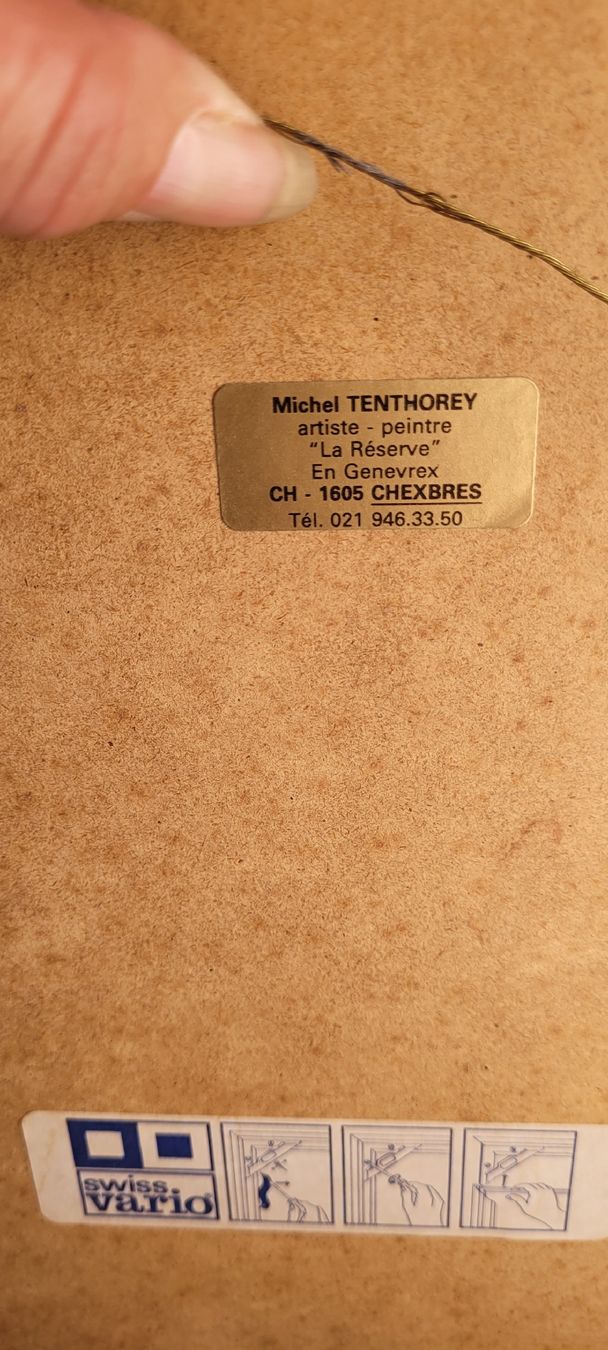 Grafica & Litografie: M.Tenthorey, Litho signée et numérotée, vignes, Lavaux – Usato da Vevey venduto da lba_dd82 2