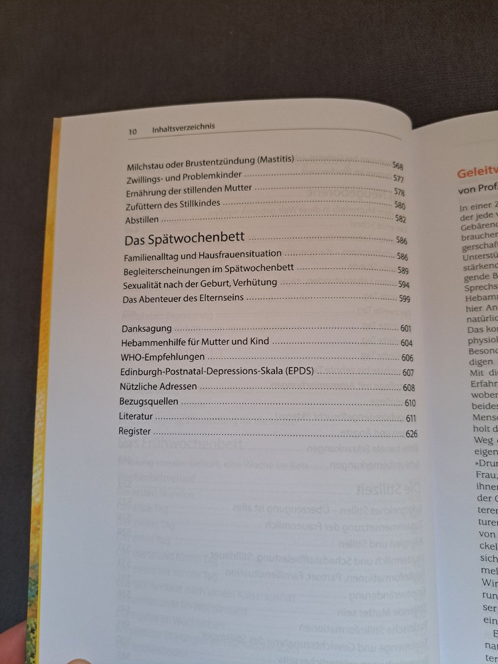 Libri: Schwangerschaftsbuch – Nuovo (secondo la descrizione) da Samstagern venduto da mel_ks7d 5