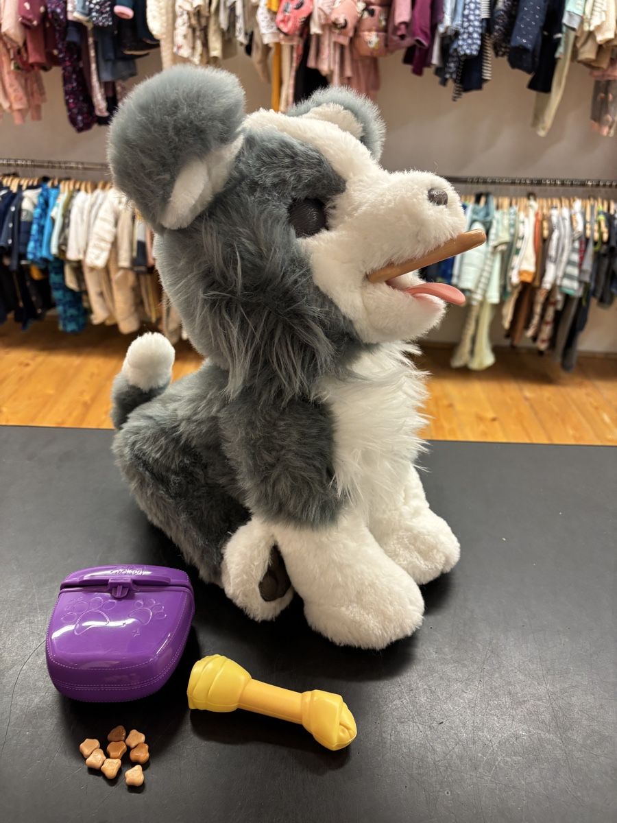 FurReal Giocattoli: Furreal Husky – Usato da Büren an der Aare venduto da Nikito2001 3