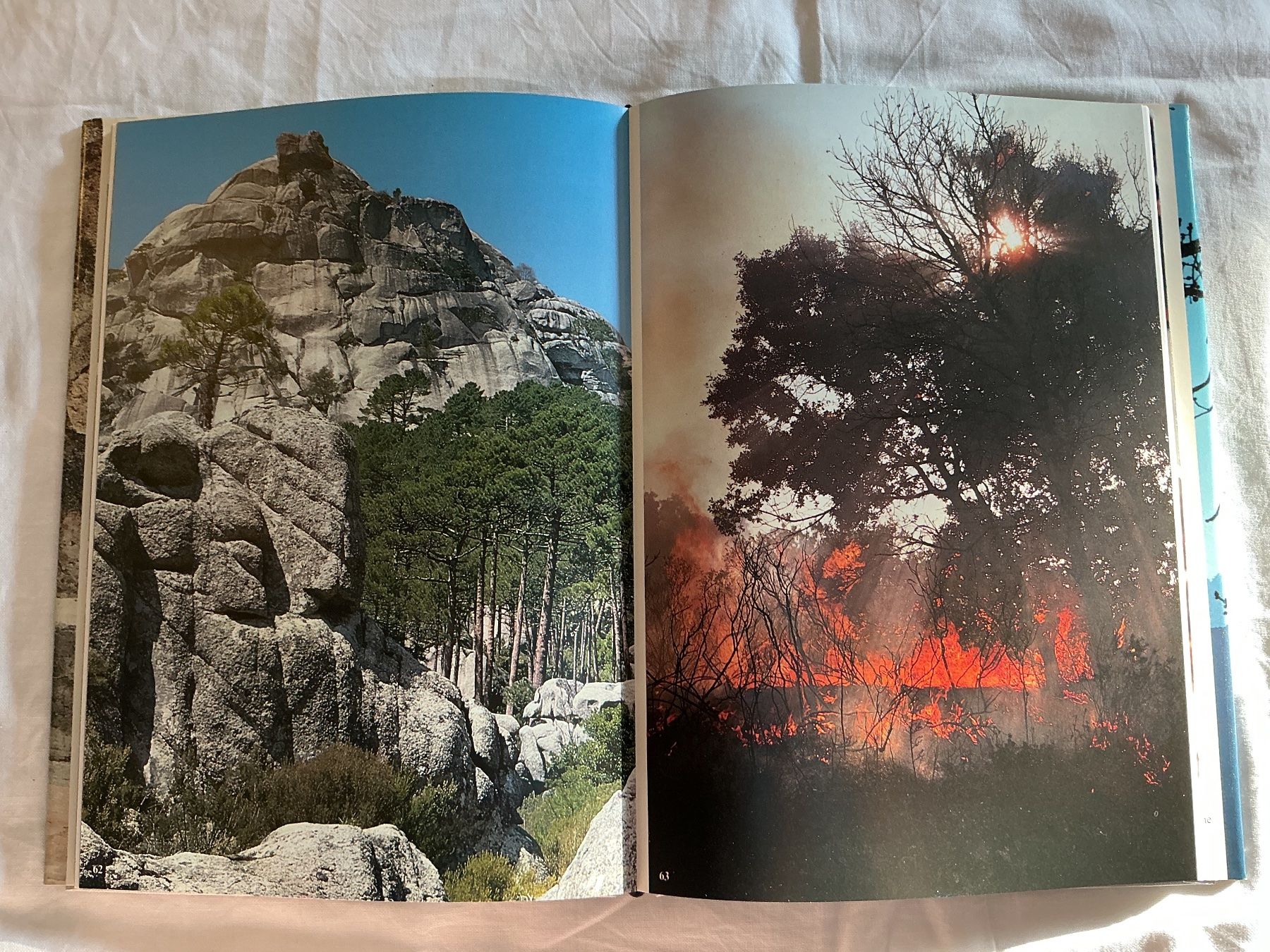 Libri: Silva Buch Korsika und Sardinien – Usato da Niederhasli venduto da ercp4 2