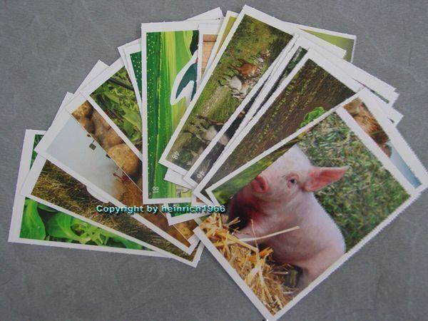 Coop Carte collezionabili: Coop Abenteuer Bauernhof, Sammelbilder – Nuovo e nell'imballaggio originale da Rothrist venduto da heinrich1966