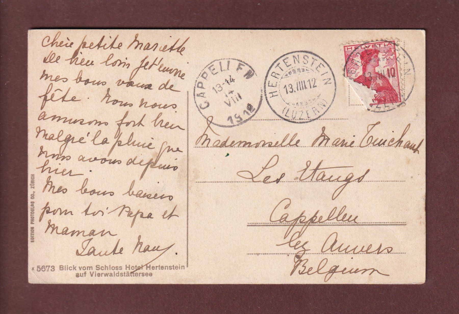 Cartoline postali: Blick vom SCHLOSS HOTEL HERTENSTEIN - 1912 – Usato da Pully venduto da nicecards 1