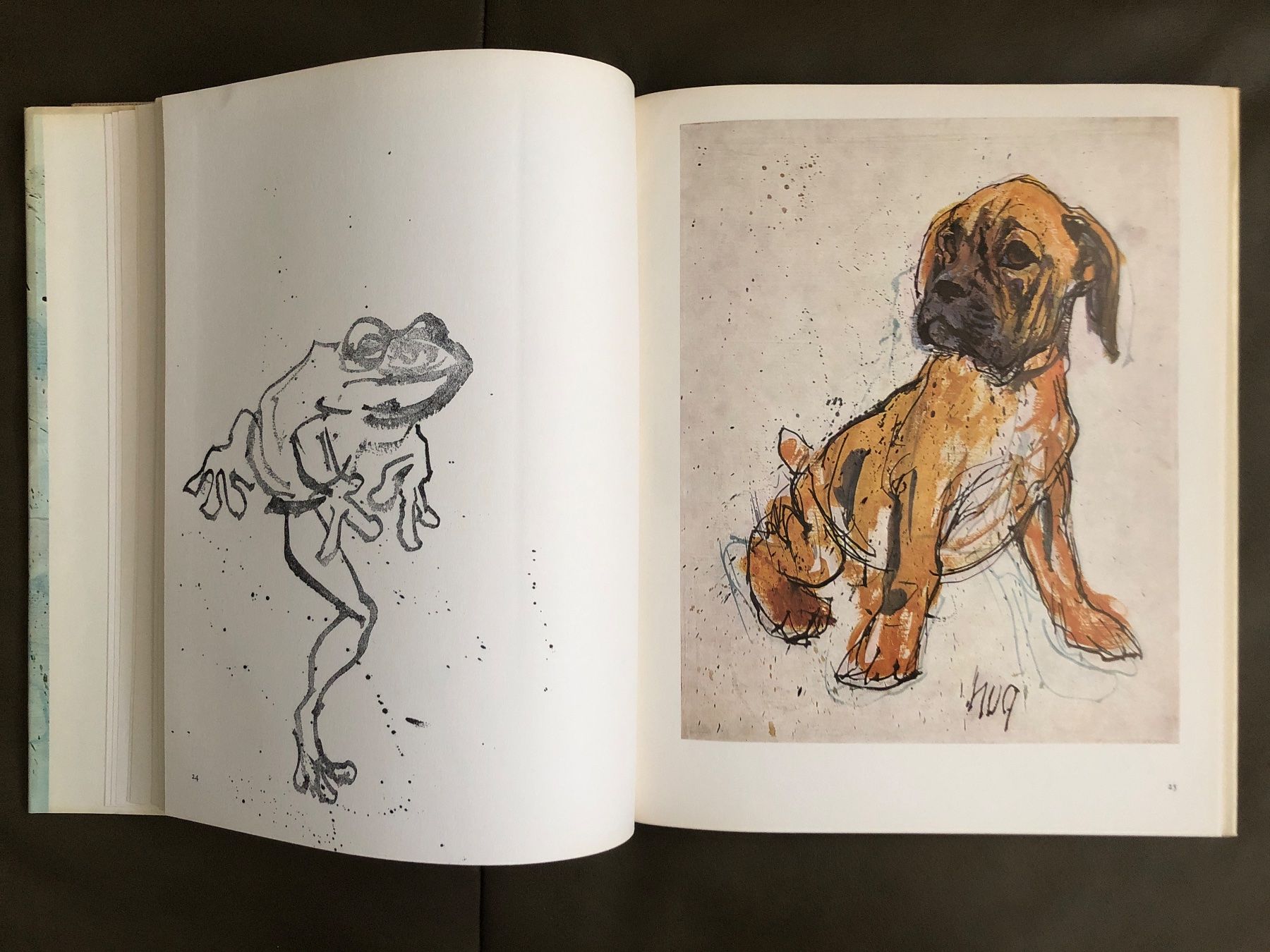 Libri: Buch Fritz Hug Maler der Tiere – Usato da Nunningen venduto da anclaudia 2
