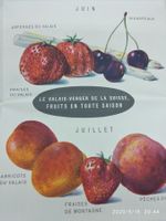 CALENDRIER DES FRUITS