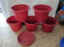 Lot de pots
