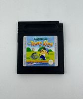 Legend of the River King (Gameboy)