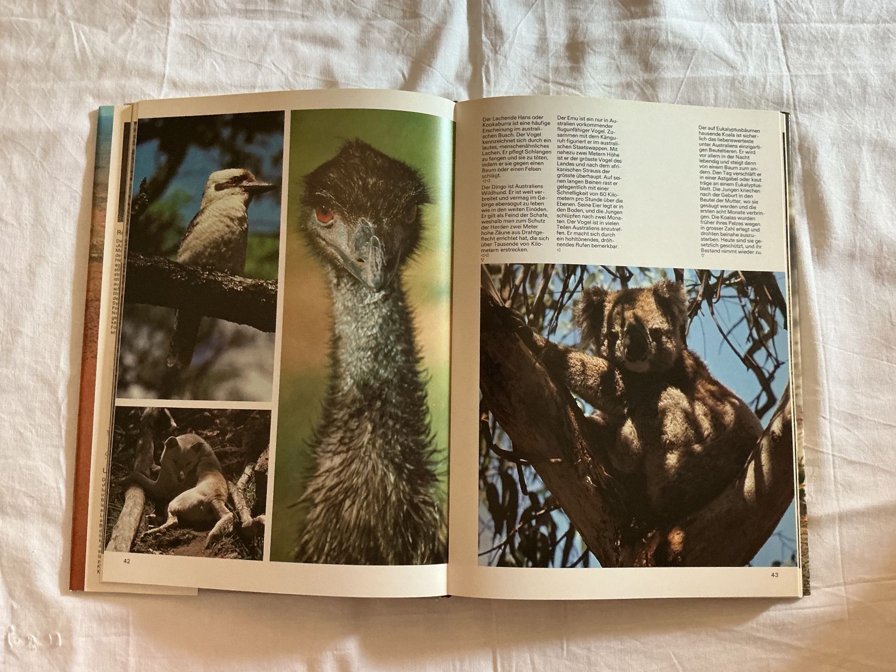 Livres: Silva Buch Australien – D'occasion à Niederhasli par ercp4 2