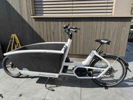 Urban Arrow Family – sehr guter Zustand, wenig gefahren