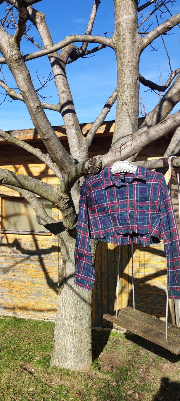 Camicette: Chemise crop top – Usato da Riaz venduto da cam_x5xs