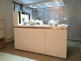 Top Design Acryl Glas Meerwasseraquarium von SEA PLANET