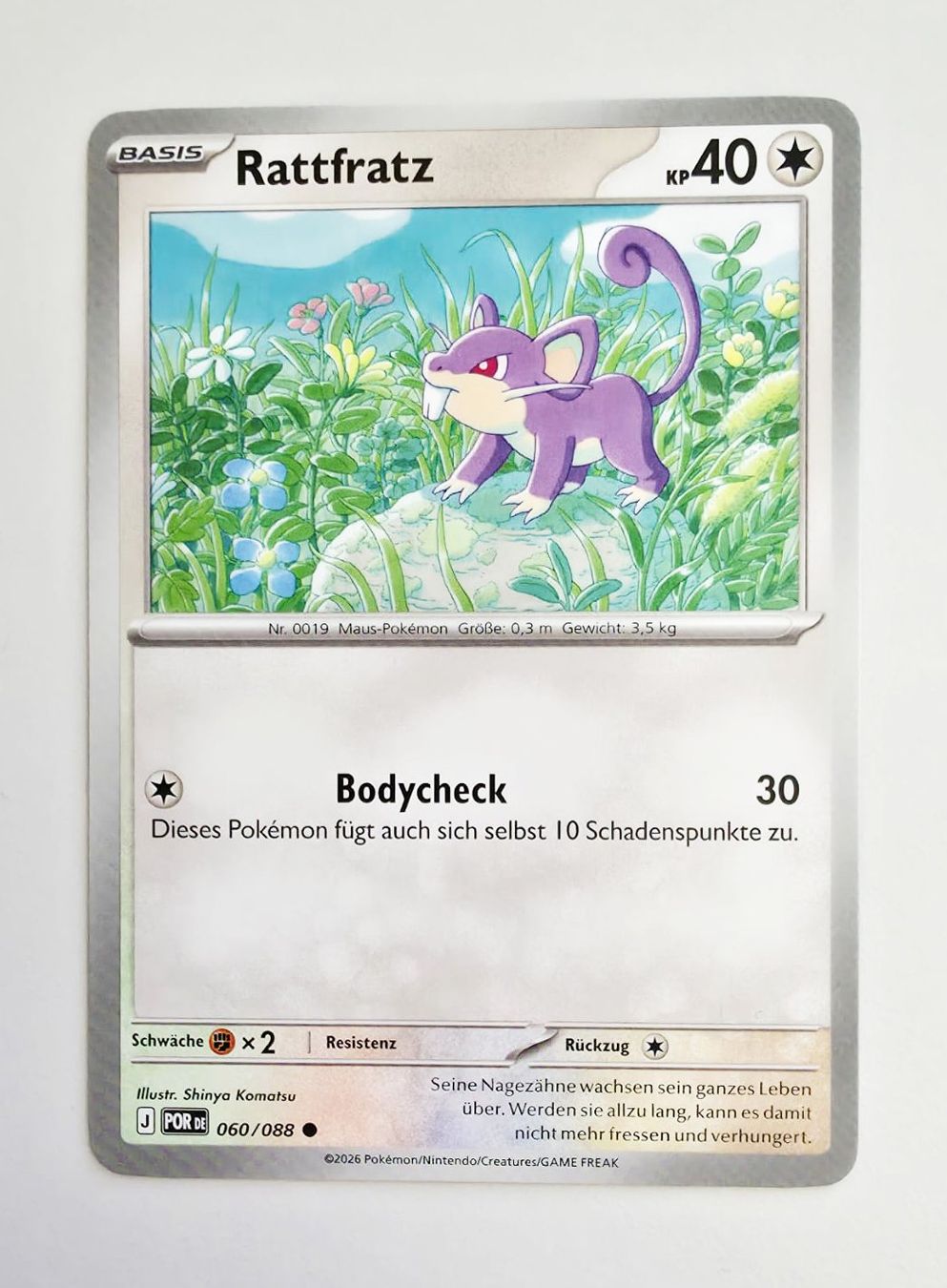 Pokémon Carte collezionabili: Rattfratz - Pokémon TCG – Usato da Zürich venduto da Zetto