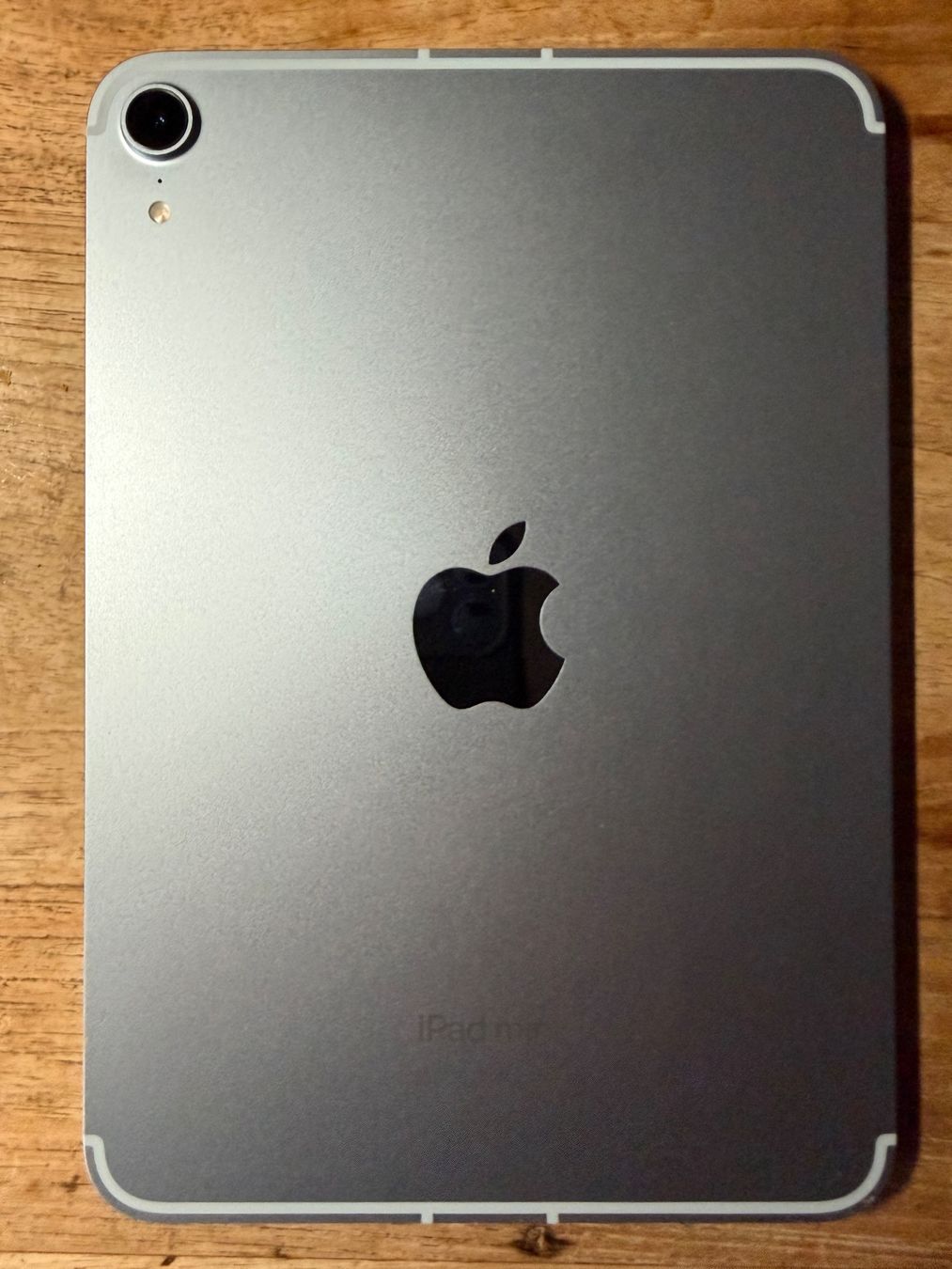 Apple Tablet PC: Ipad 7 mini (A17 Pro) 256 GB – Usato da Zumikon venduto da SwissWoody 1