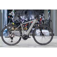 Vélo électrique Riese & Müller Roadster touring purion 500