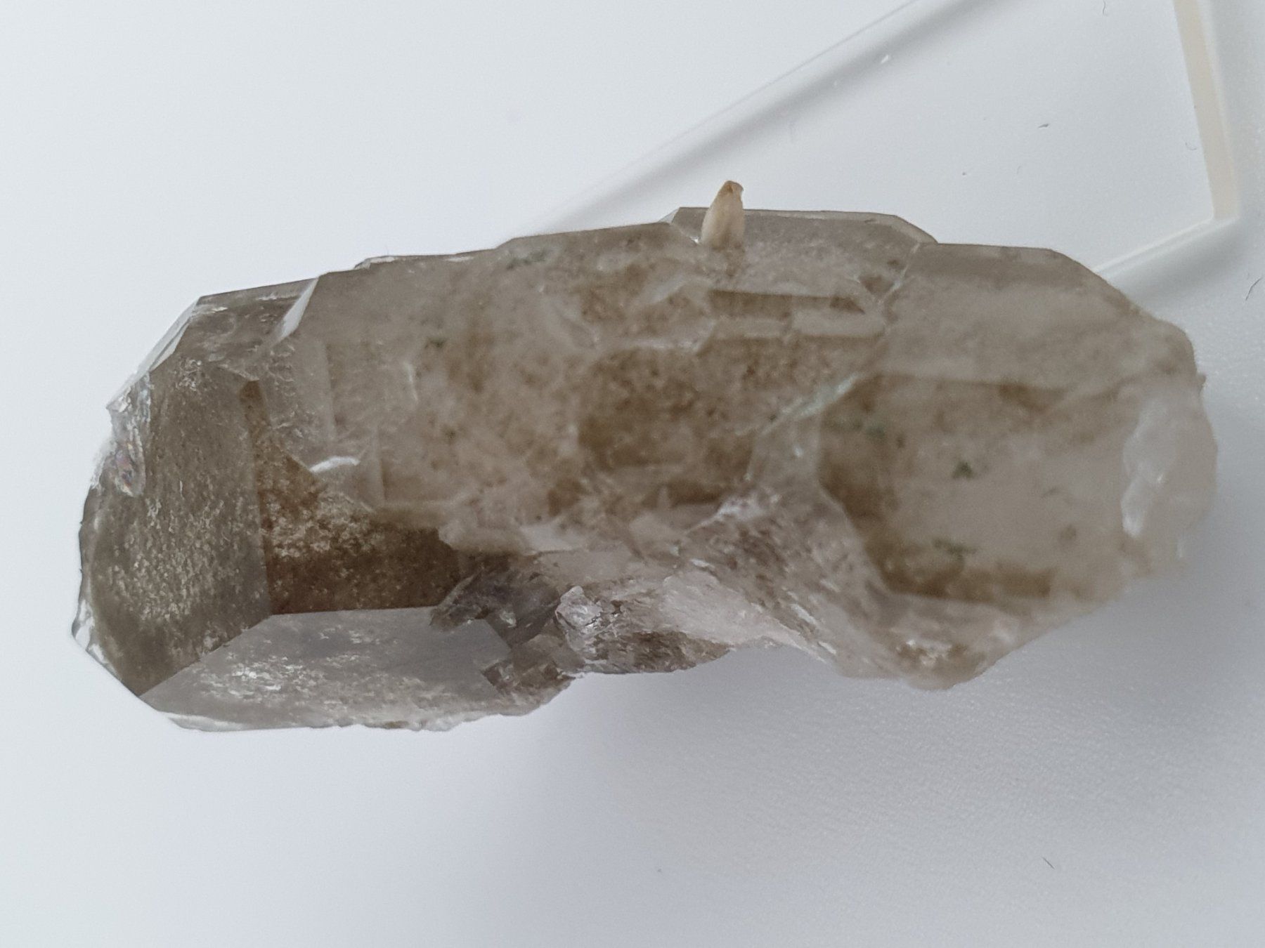 Minerali & Pietre curative: Phantomquarz mit Titanit – Nuovo (secondo la descrizione) da Holderbank SO venduto da swiss-minerals 1