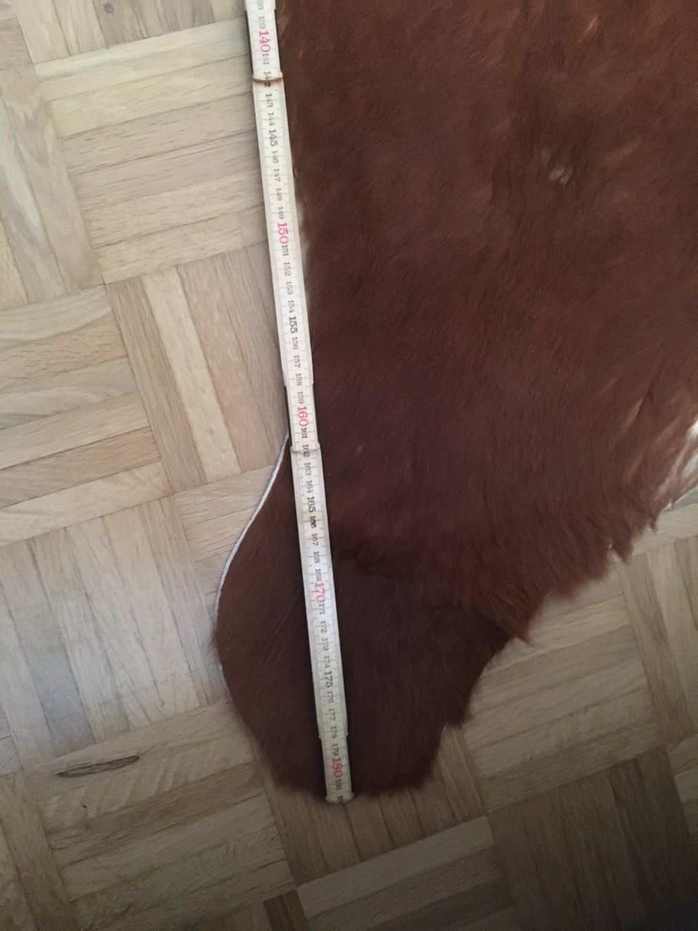 Tappeti: Kuhfell braun – Usato da St. Gallen venduto da mel_d2rj 2